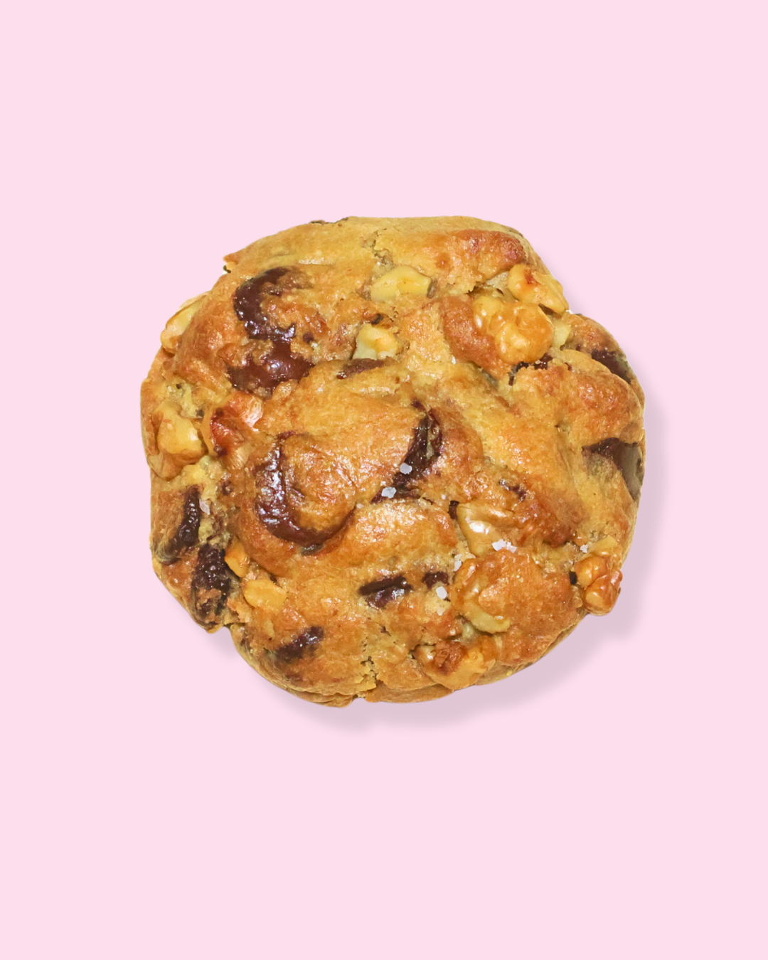 Chocolate Chip Walnut Cookie