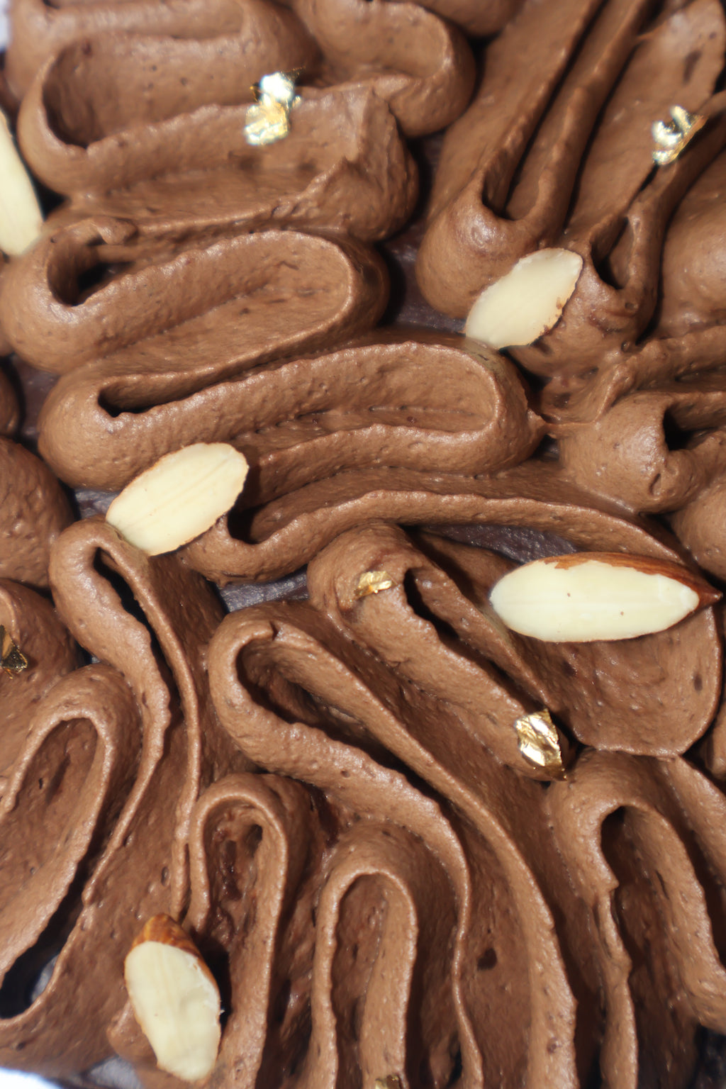 Dark Chocolate Almond Praline Cake